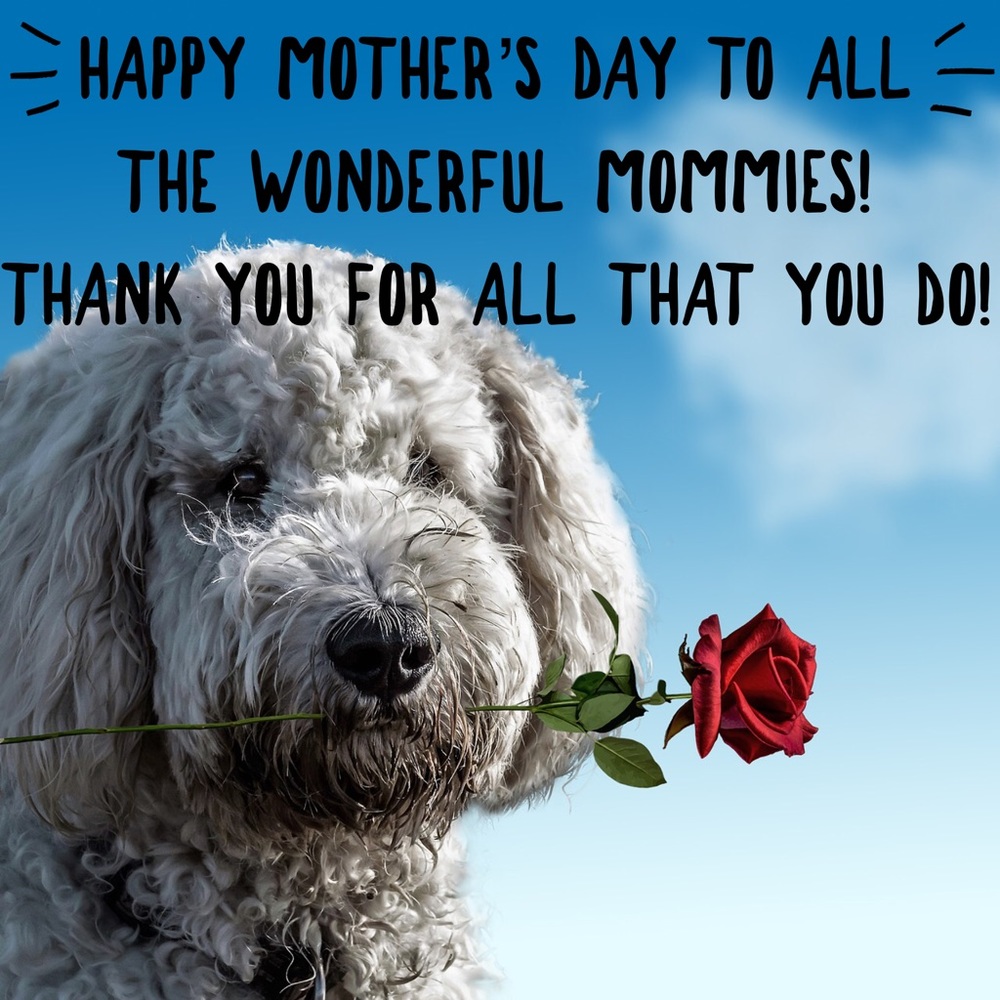 🌹HAPPY MOTHER’S DAY🌹